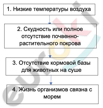 A diagram of a diagram Description automatically generated with medium confidence