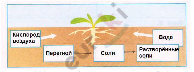 C:\Users\admin\Desktop\Системные папки\1\Opera Снимок_2022-08-02_030529_reshalka.com.png