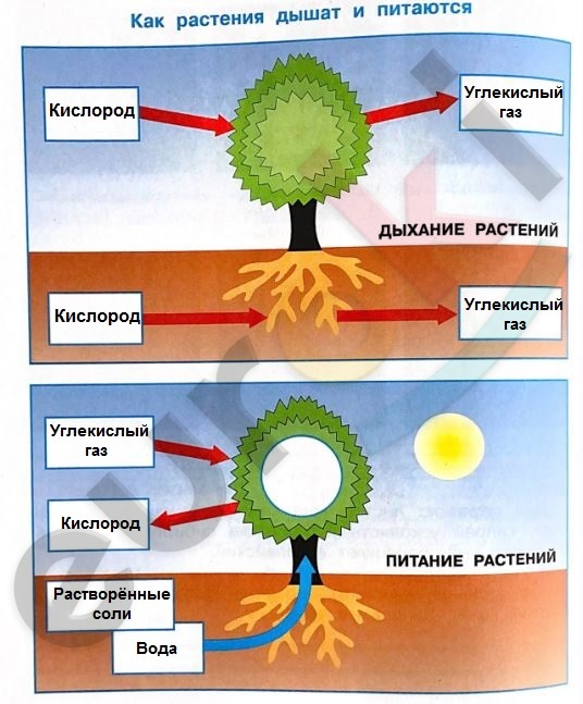 C:\Users\admin\Desktop\Системные папки\1\Снимок2.JPG