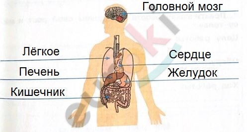 C:\Users\admin\Desktop\Системные папки\1\Снимок32.JPG