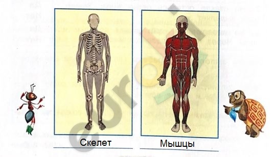 C:\Users\admin\Desktop\Системные папки\1\Снимок28.JPG