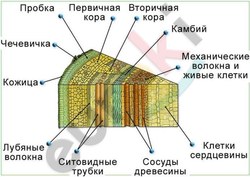 Diagram Description automatically generated