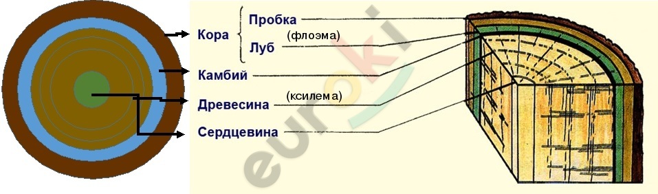 Diagram Description automatically generated