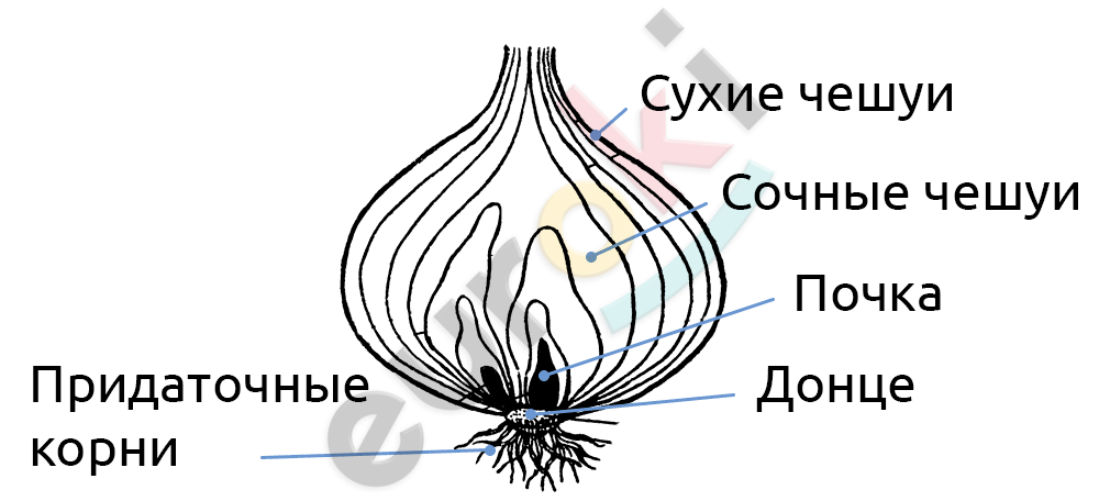 Diagram Description automatically generated