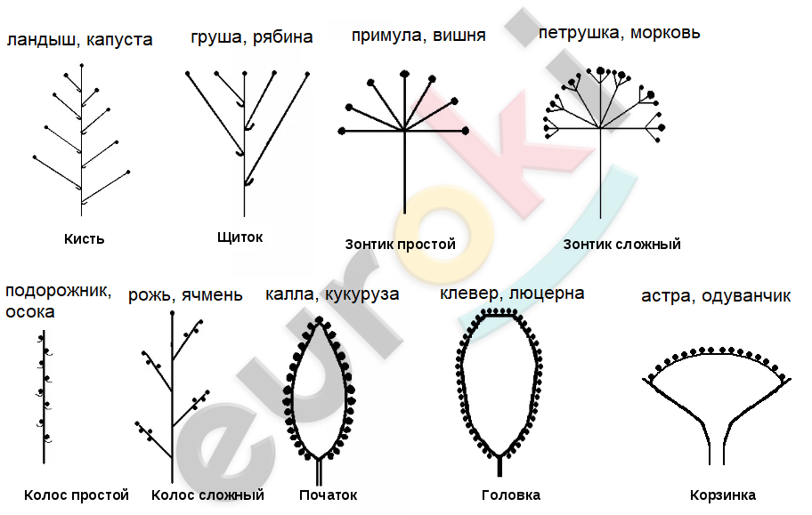 Diagram Description automatically generated