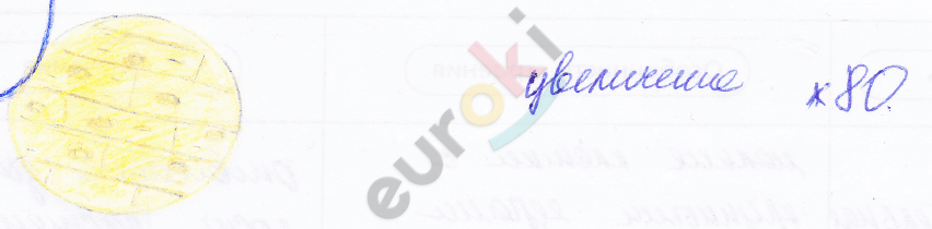 ГДЗ Стр. 16 Биология 5 класс Корнилова Рабочая тетрадь