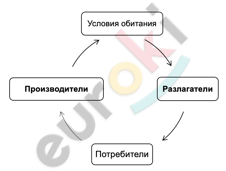 A diagram of a diagram Description automatically generated