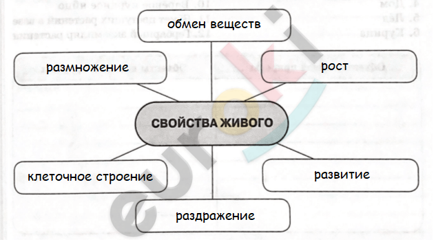 гдз биология 5 класс рабочая тетрадь пасечник с ракушкой