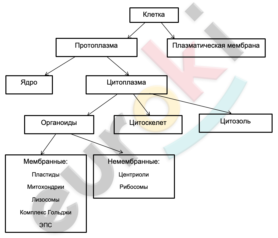 A diagram of a company Description automatically generated