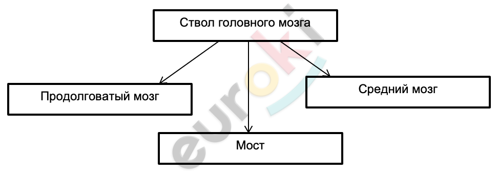 A diagram of a diagram Description automatically generated