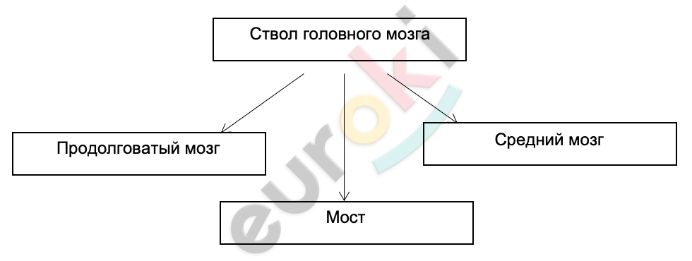 A diagram of a diagram Description automatically generated