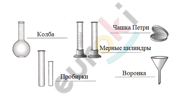 Моя лаборатория 101 страница 5 класс биология