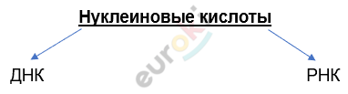 Изображение выглядит как текст, Шрифт, линия, снимок экрана Автоматически созданное описание