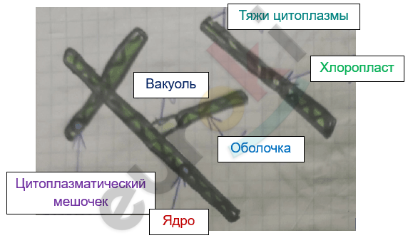 Изображение выглядит как текст, снимок экрана Автоматически созданное описание