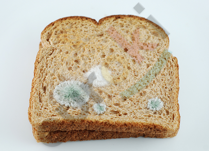 A picture containing food, bread Description automatically generated