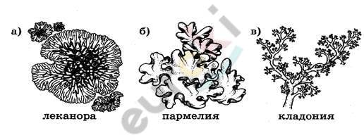 Изображение выглядит как текст Автоматически созданное описание