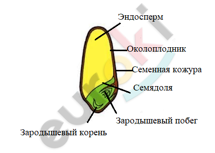 Diagram Description automatically generated