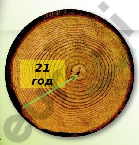 A picture containing text, indoor, cymbal Description automatically generated