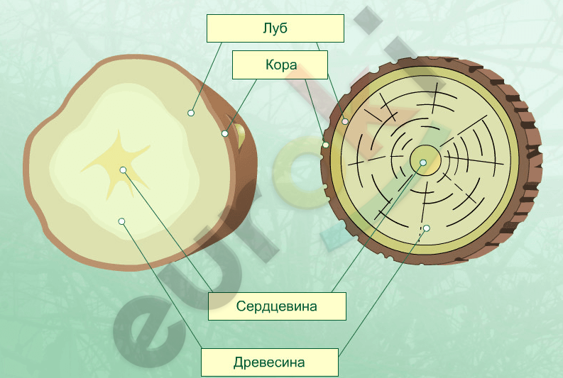 Diagram Description automatically generated