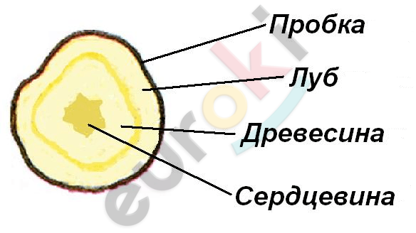 Diagram Description automatically generated