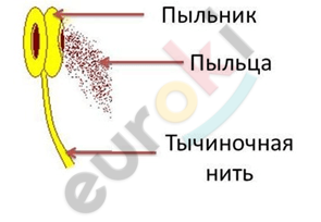 Diagram Description automatically generated with medium confidence