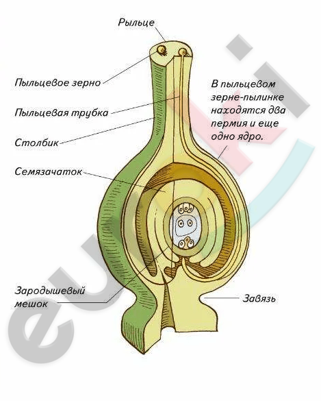 Diagram Description automatically generated