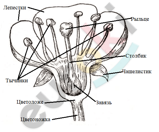 Diagram Description automatically generated