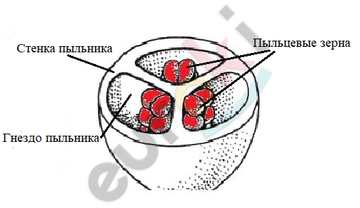 Diagram Description automatically generated