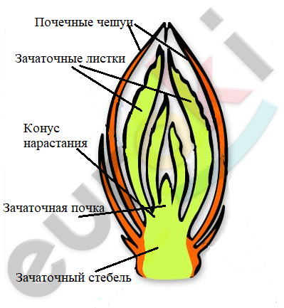 Diagram Description automatically generated