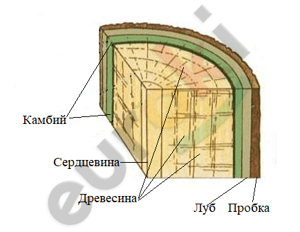 Diagram Description automatically generated