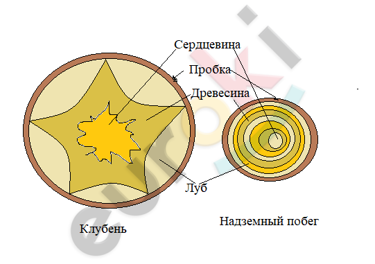 Diagram, schematic Description automatically generated