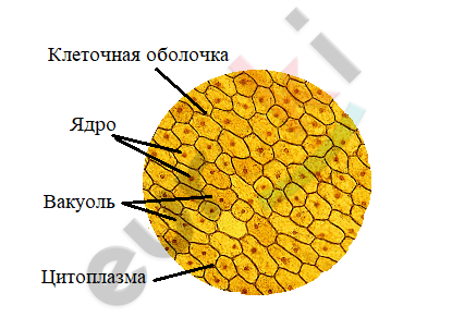 Diagram Description automatically generated