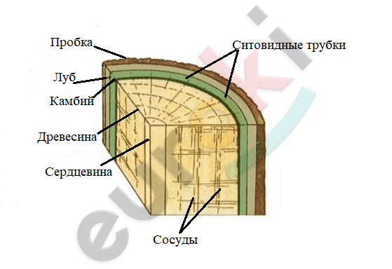 Diagram Description automatically generated