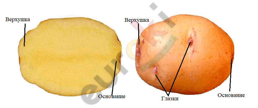 Diagram Description automatically generated