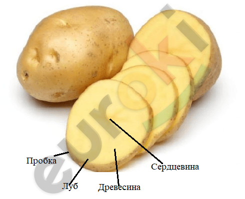 Diagram Description automatically generated