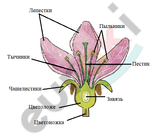 Diagram Description automatically generated