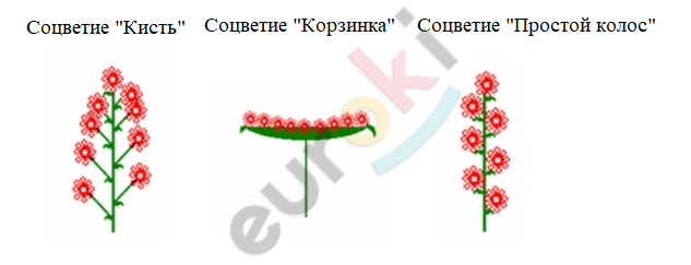 Chart, diagram Description automatically generated