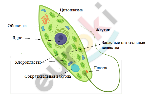 Diagram Description automatically generated