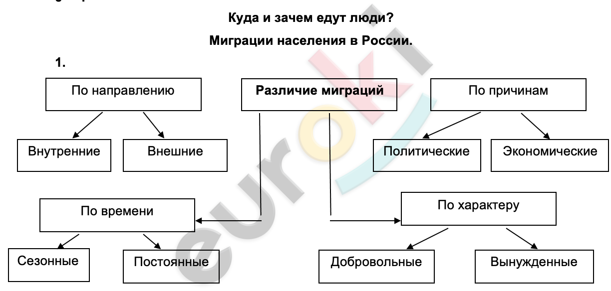 A diagram of a company Description automatically generated