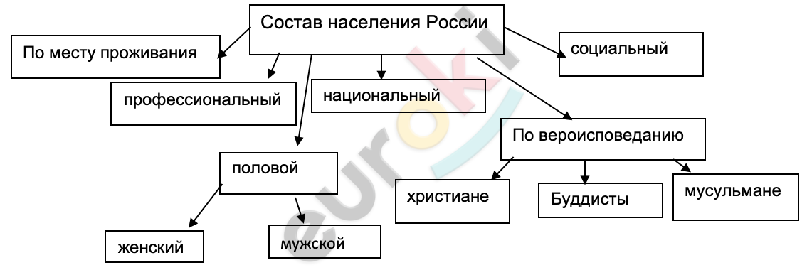 A diagram of a company Description automatically generated