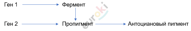 Изображение выглядит как текст, линия, Шрифт, снимок экрана Автоматически созданное описание