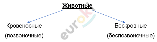 Изображение выглядит как текст, линия, Шрифт, снимок экрана Автоматически созданное описание