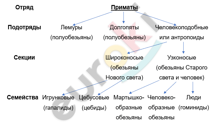 Изображение выглядит как текст, снимок экрана, Шрифт, линия Автоматически созданное описание