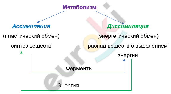 Изображение выглядит как текст, снимок экрана, Шрифт, линия Автоматически созданное описание