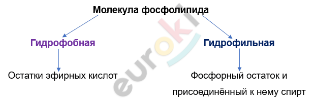 Изображение выглядит как текст, снимок экрана, Шрифт, линия Автоматически созданное описание