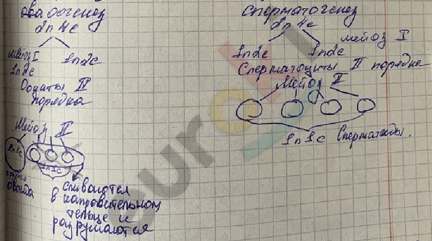 Изображение выглядит как текст, рукописный текст, блокнот, бумага Автоматически созданное описание