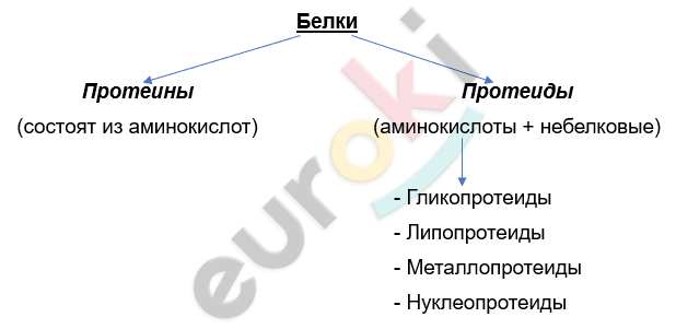 Изображение выглядит как текст, снимок экрана, Шрифт, линия Автоматически созданное описание