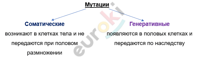 Изображение выглядит как текст, снимок экрана, Шрифт, линия Автоматически созданное описание