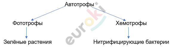 Изображение выглядит как текст, линия, Шрифт, диаграмма Автоматически созданное описание