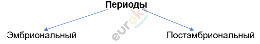 Изображение выглядит как линия, текст, Шрифт, диаграмма Автоматически созданное описание